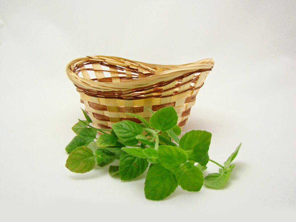 Summer leaves mint