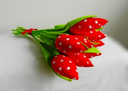 Posy flowers composition