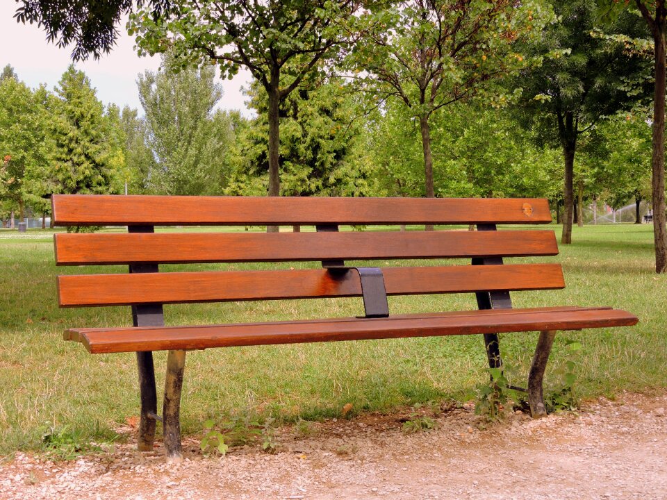 Green wood solitude