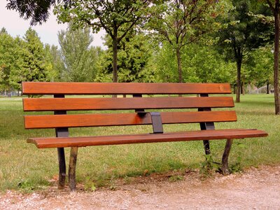 Green wood solitude
