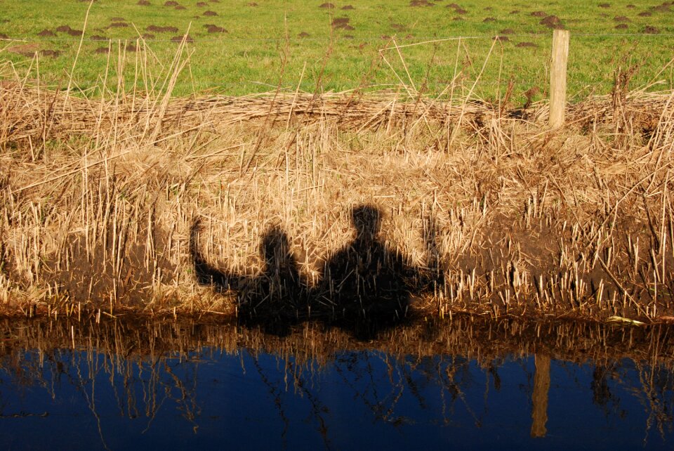 Greetings water pasture