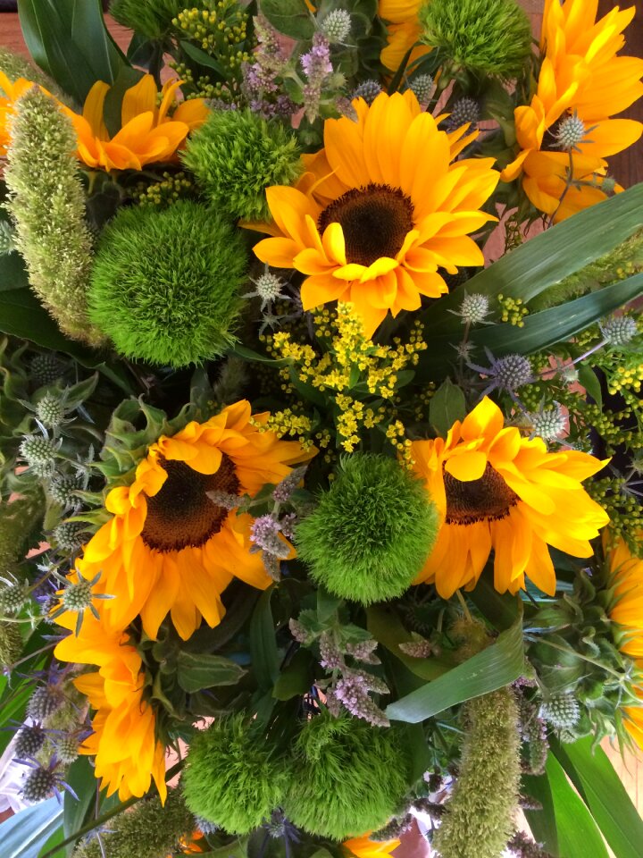 Summer flower party