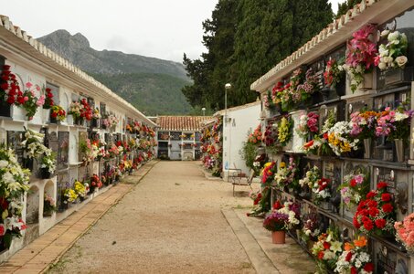 All souls ' day spain flowers
