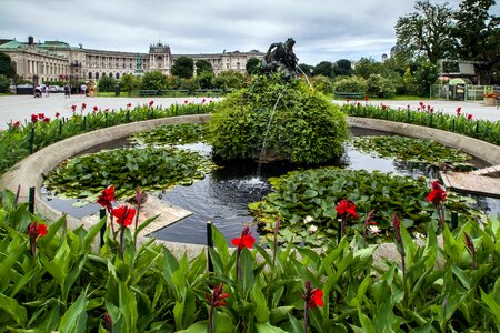 Park fountain flowers