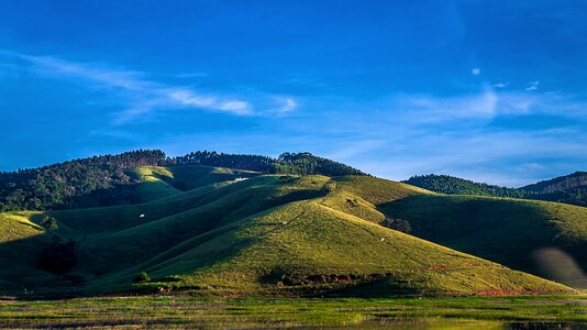 Green hill nature