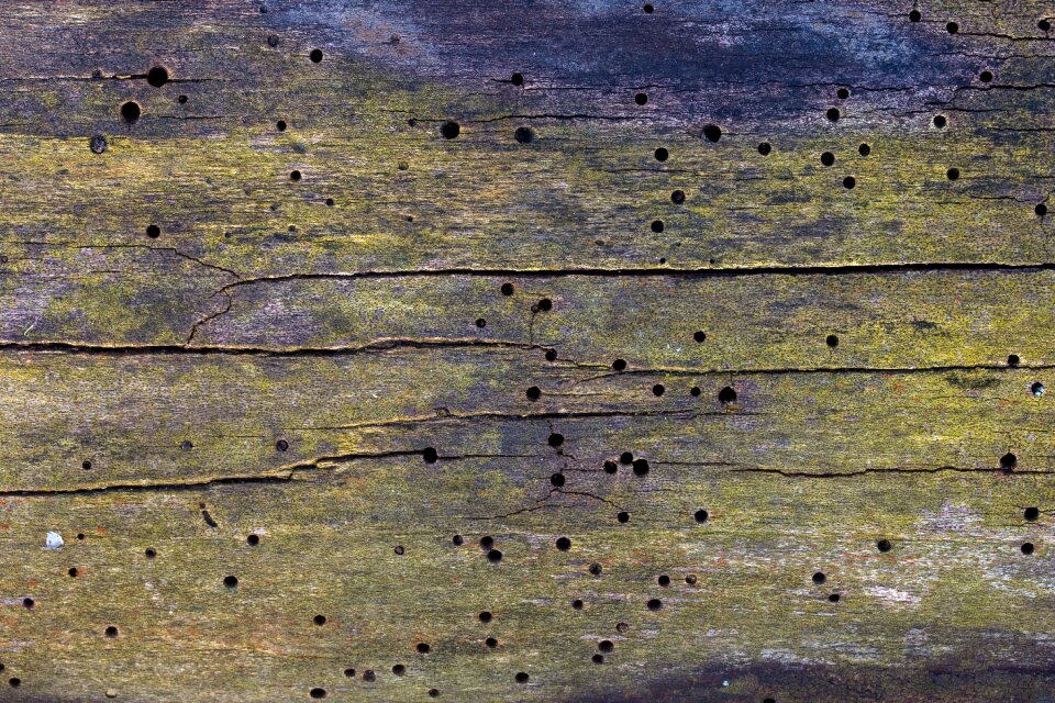 Wood structure old