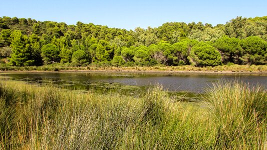 Aegean biotope lagoon