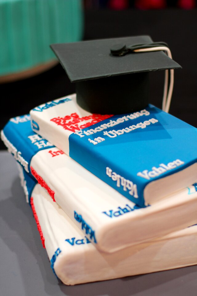 Literature education magister