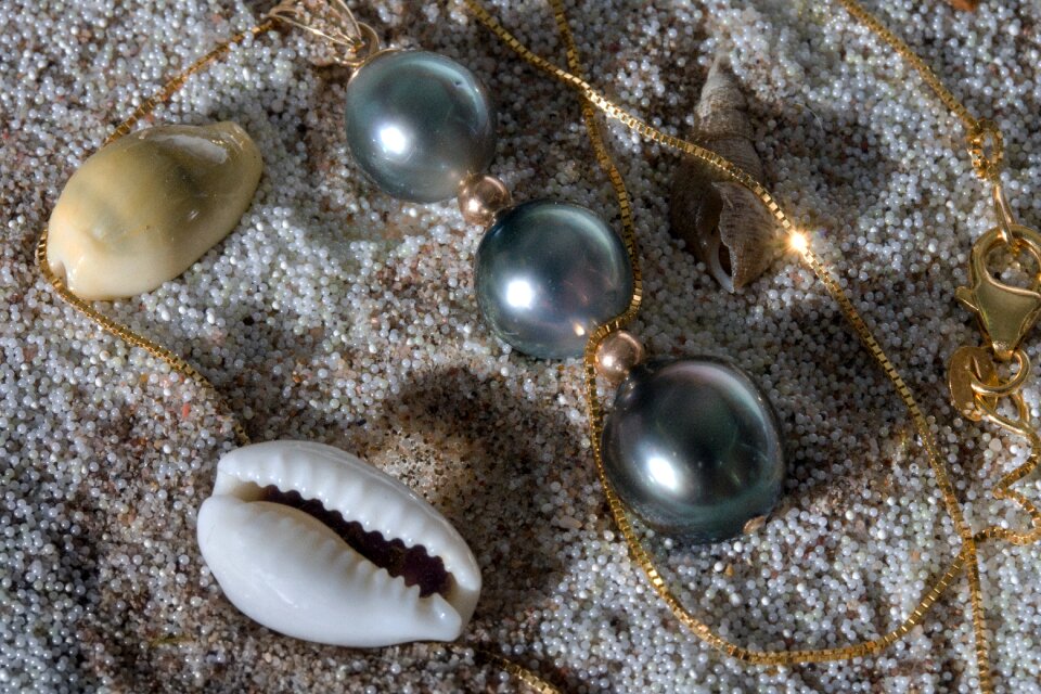 Mussels chain gold chain