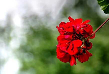 Nature outdoors falun