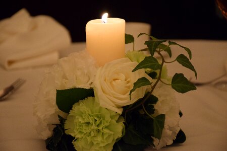 Dark flowers rose