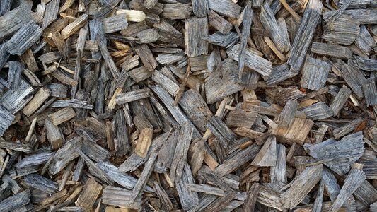 Wood chips wood background photo