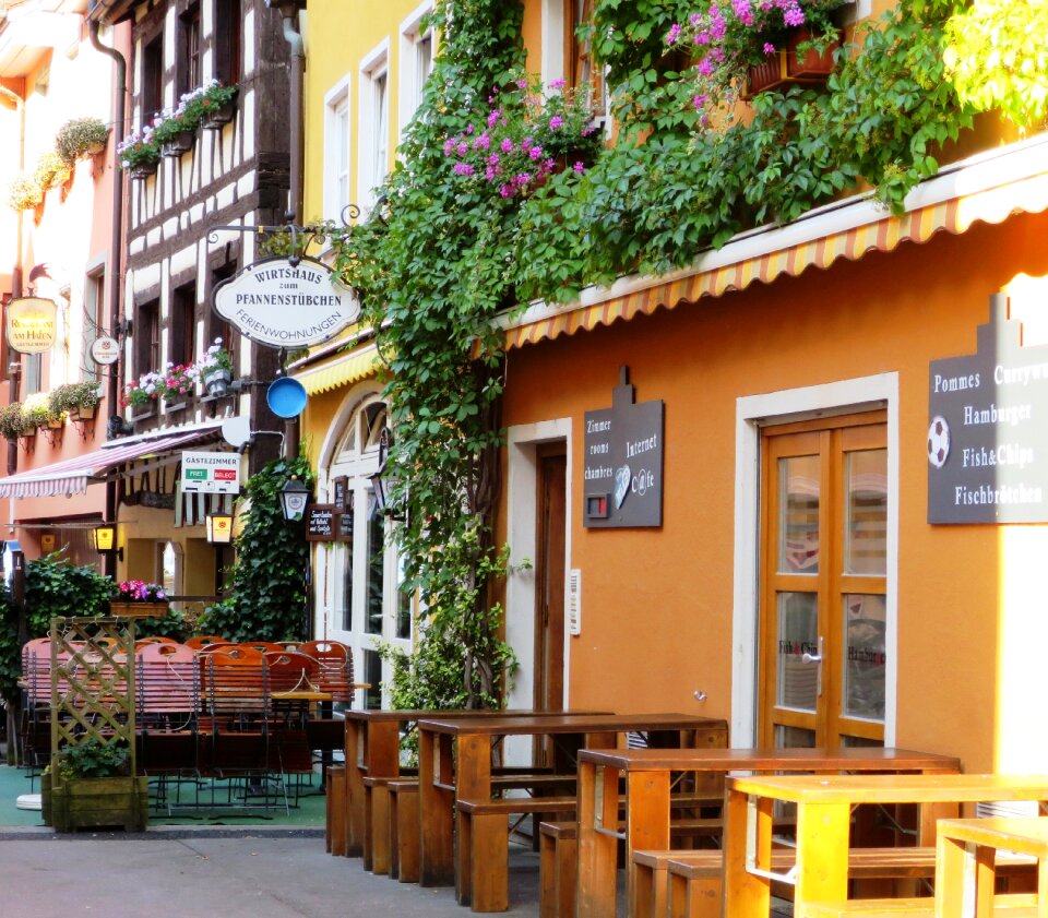 Lake constance resort wine growing area