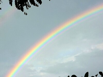 Rain nature colorful