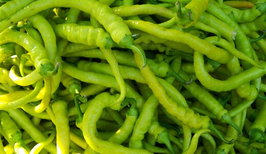 Pepper green pointed vegetables