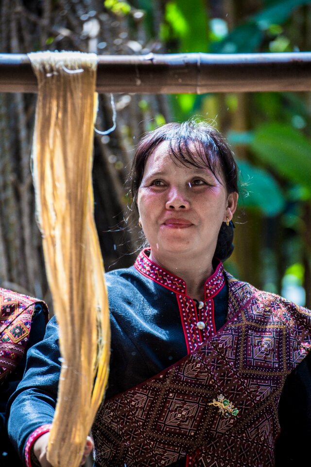 Dyed silk kalasin thailand