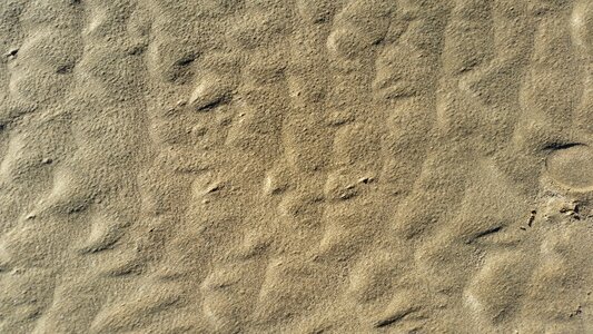 Beach background dune