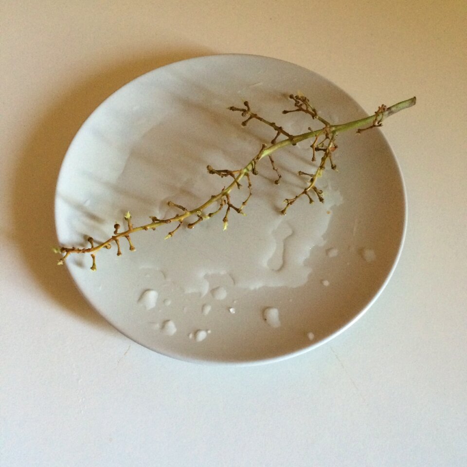 Istanbul plate water drop