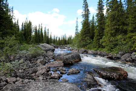 Romantic wild river