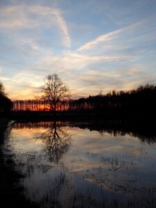 Mirror tree nijman dike