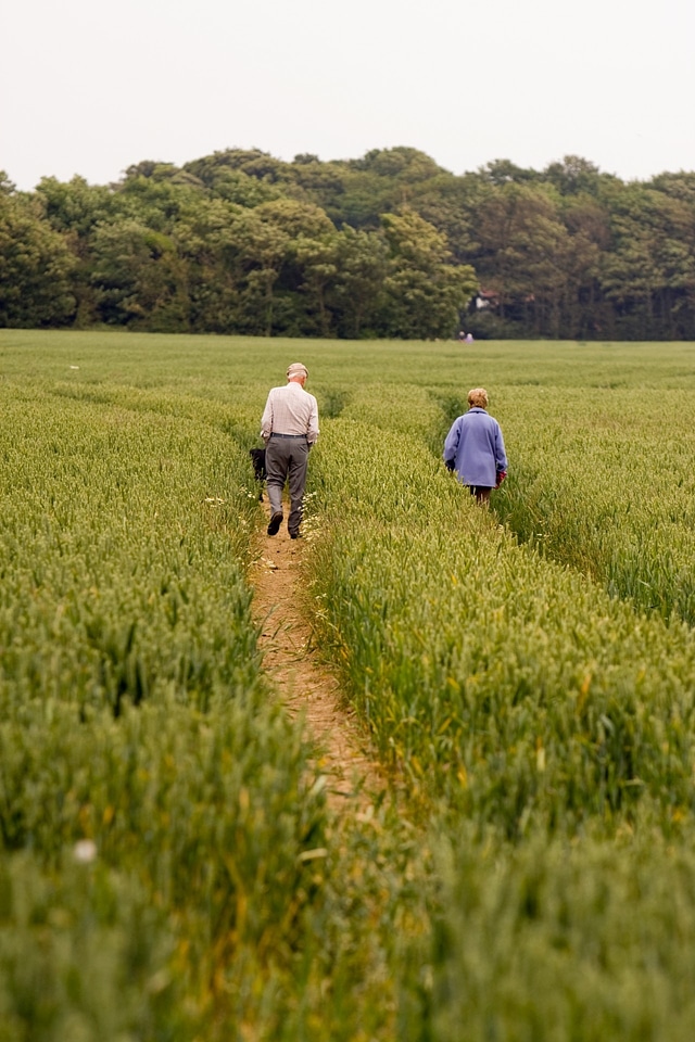 Woman couple wheat field