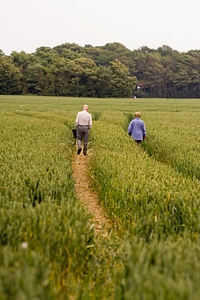 Woman couple wheat field photo