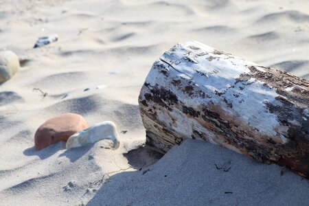 Flotsam stone mineral