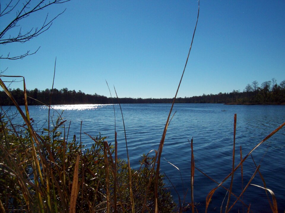Pond nature outdoor