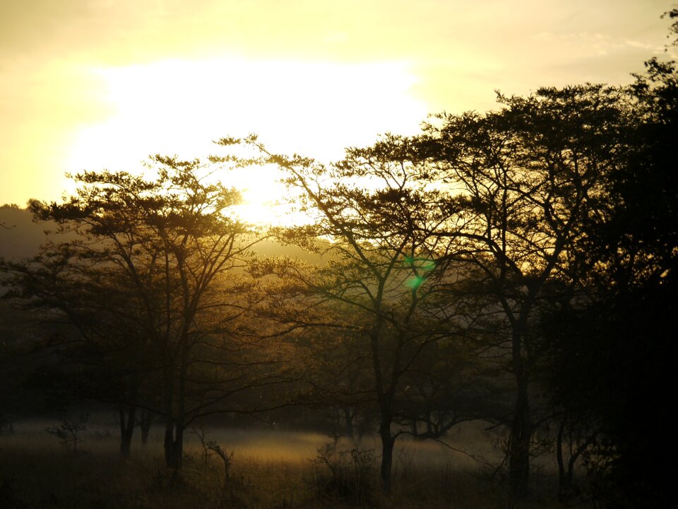 Ground fog lake mburro light