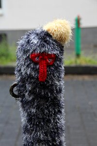 Knitwear wool colorful