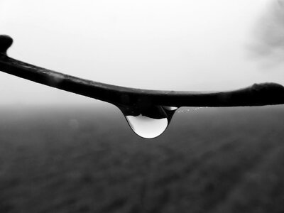 Foggy raindrop autumn