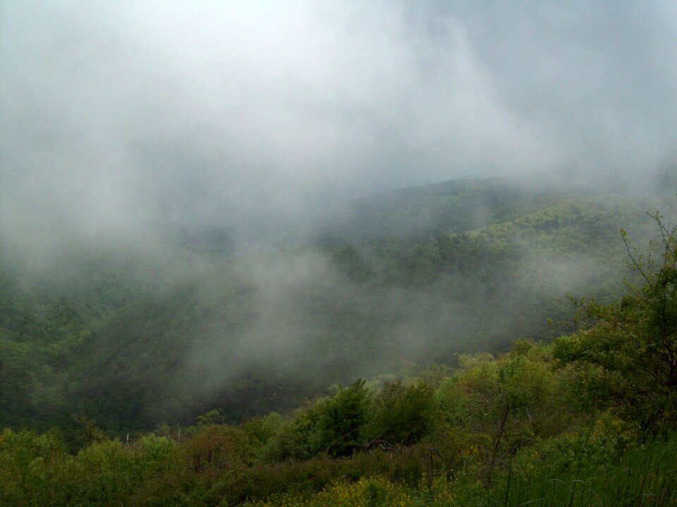 Fog nature outdoor