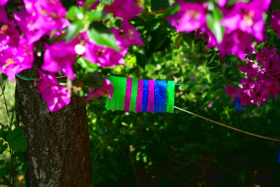 Farbenspiel colorful bright