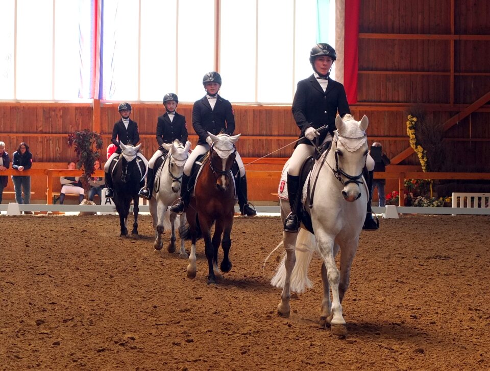Show jumping team task
