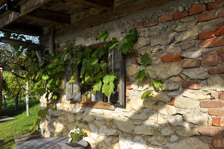 Southern styria wine autumn