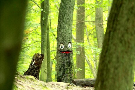 Mystical tree face tree spirit
