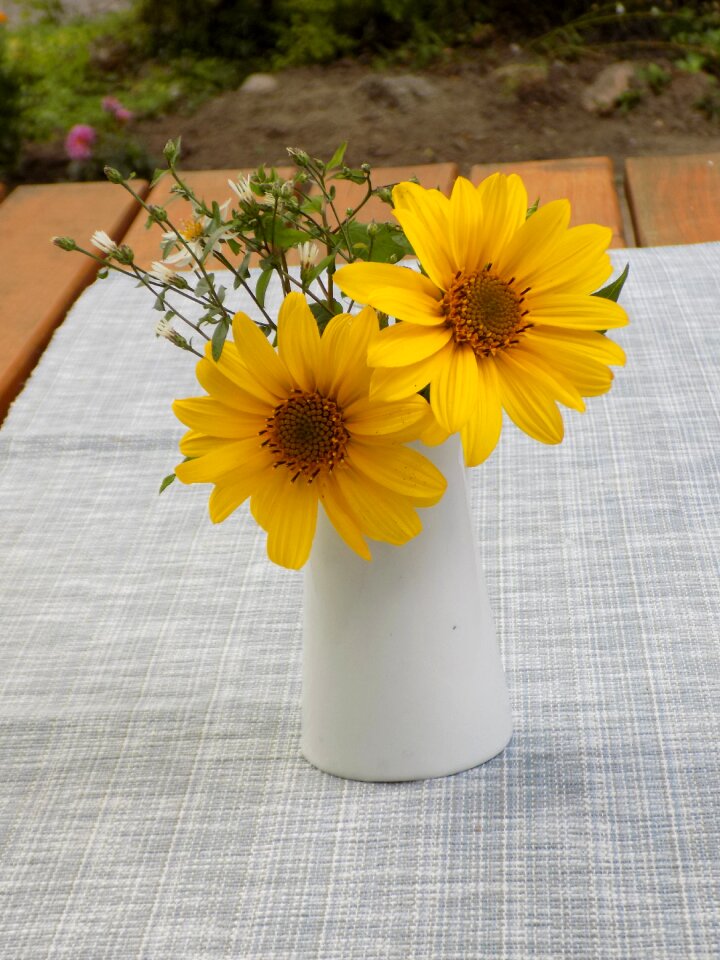 Yellow vase garden table