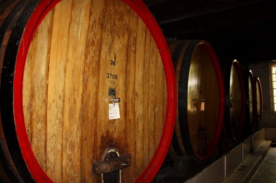 Tourism cellar wine barrels
