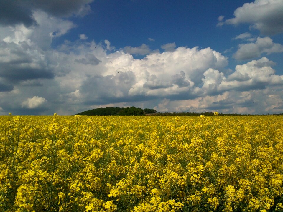 Landscape sky clouds