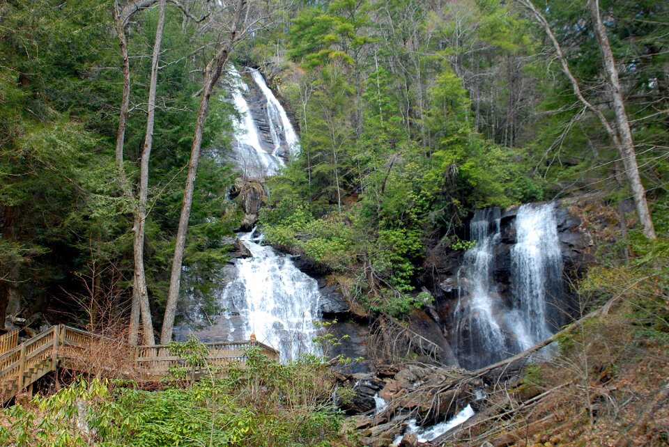 Nature park flowing photo