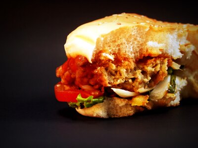 Grilled seed sandwich