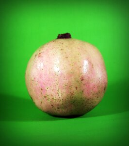 Closeup isolated ripe