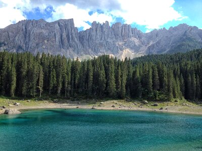 Forest landscape mountains photo