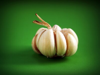 White clove closeup photo