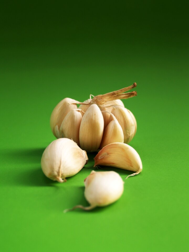 White clove closeup