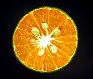 White citrus sour photo
