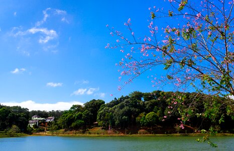 Scene nature sky
