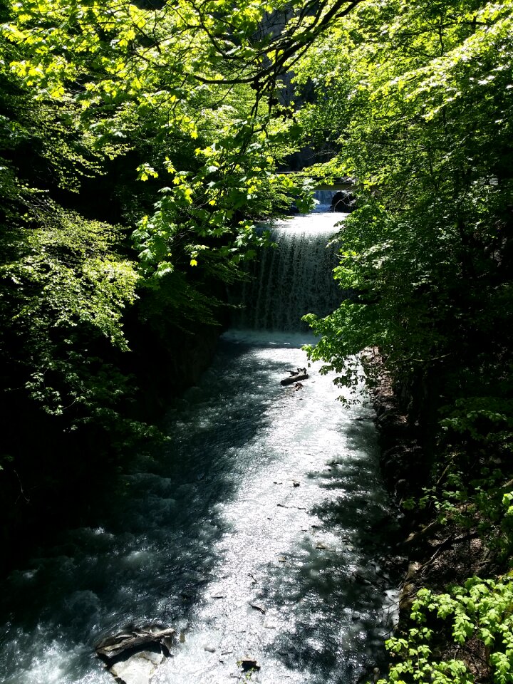 Water nature landscape