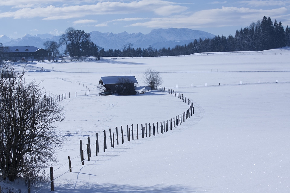 Winter blue white photo