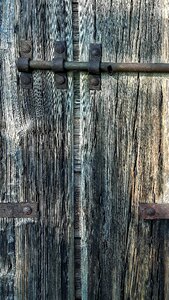 Plant door old